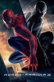 Homem-Aranha 3